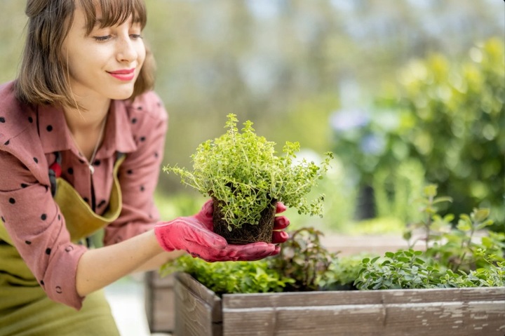 BIOHUMUS NAWÓZ DO WARZYW OWOCÓW ROŚLIN ORGANICZNY PŁYNNY HUMUS 5L