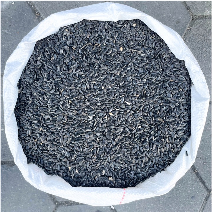 SŁONECZNIK CZARNY KARMA POKARM ZIARNO DLA DZIKICH PTAKÓW DO KARMNIK