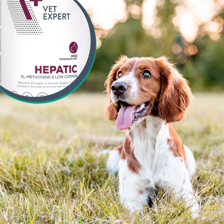 Mokra karma dla psów wsparcie wątroby kurczak Vet Expert Hepatic 6 x