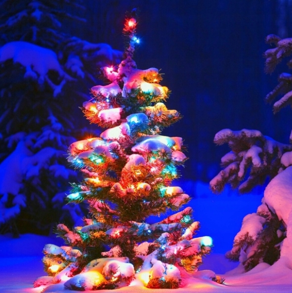 Lampki choinkowe łańcuch świetlny LED 10M 100LED RGB Aplikacja pilot