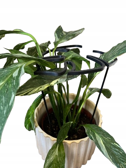 Podpórki do roślin kwiatów podpórka podpora obręcz RING MONSTERA M 33cm