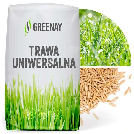 Trawa UNIWERSALNA nasiona trawy SAMOZAGĘSZCZAJĄCA odporna na DEPTANIE 5kg