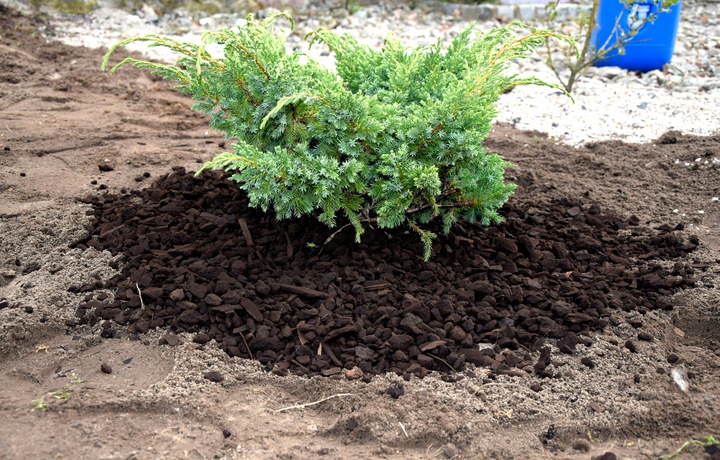 Ściółka z węgla brunatnego CARBOMAT ECO 20 L (pH 4,5 - 5,0)