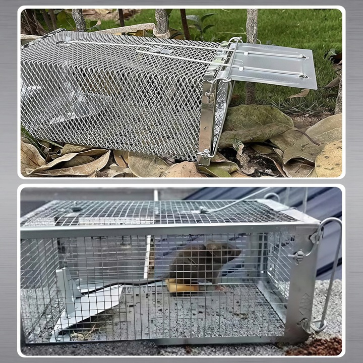 PUŁAPKA ŻYWOŁAPKA NA SZCZURY MYSZY GRYZONIE KUNY ŁAPKA DO ŁAPANIA