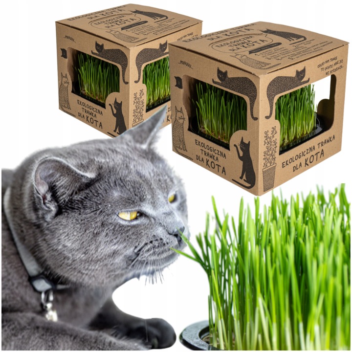 2x EKO Trawka Dla Kota Trawa Odkłaczająca Przysmak EKOLOGICZNA WYROŚNIĘTA