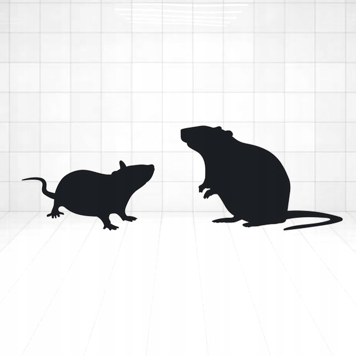 Silna Trutka Na Myszy Szczury 3kg Ziarno Trucizna na Szczury Myszy