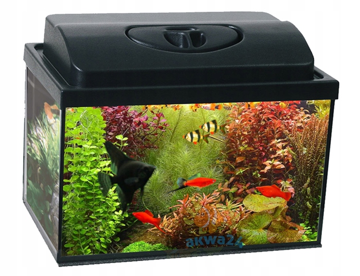 AKWARIUM 25L PROSTE 40x25x25cm +12 gratisówów