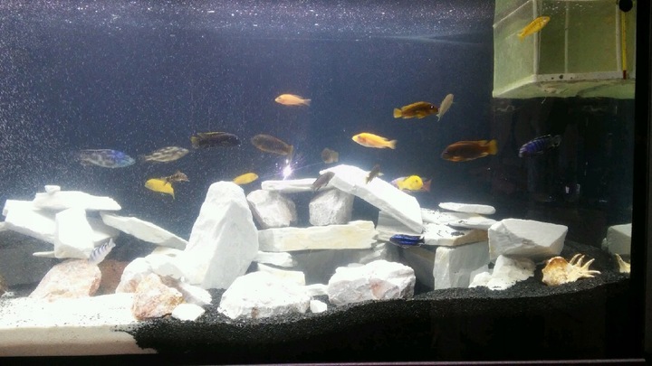 ŻWIREK CZARNY 1-3 mm PODŁOŻE DO AKWARIUM 25kg