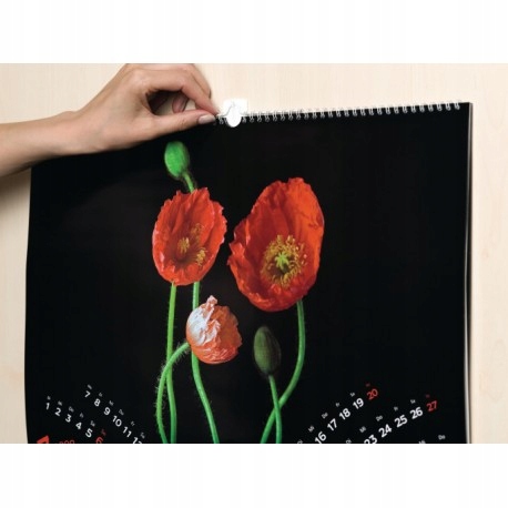 TESA POWERSTRIPS Haczyki samoprzylepne do ramek zdjęć obrazów 1kg