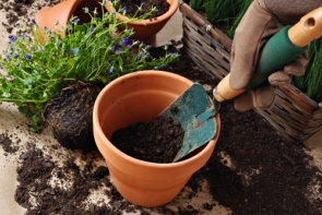 PODŁOŻE ZIEMIA DO KWIATÓW WARZYW ZIÓŁ IGLAKÓW LAUROWIŚNI 50L Z NAWOZEM