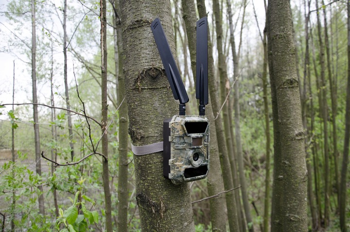 Kamera Leśna FOTOPUŁAPKA Myśliwska FHD GSM 4G LTE MMS wysyła FILMY