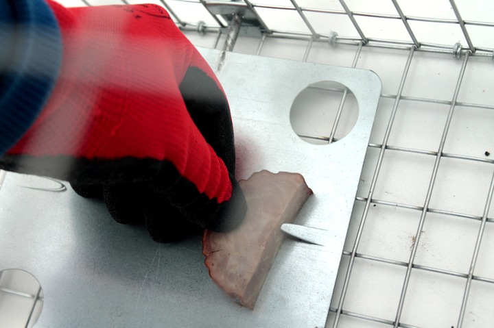 ŻYWOŁAPKA, PUŁAPKA NA KUNY, LISY, KOTY, NORKI, ŁASKI, WYDRY POLSKA