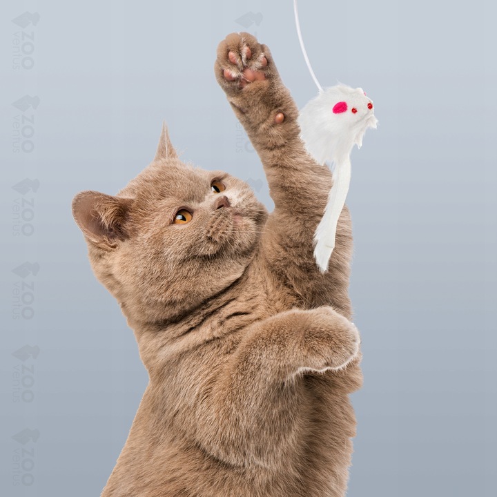 Drapak dla kota słupek 91cm drzewko 5 poziomów budka walec platforma