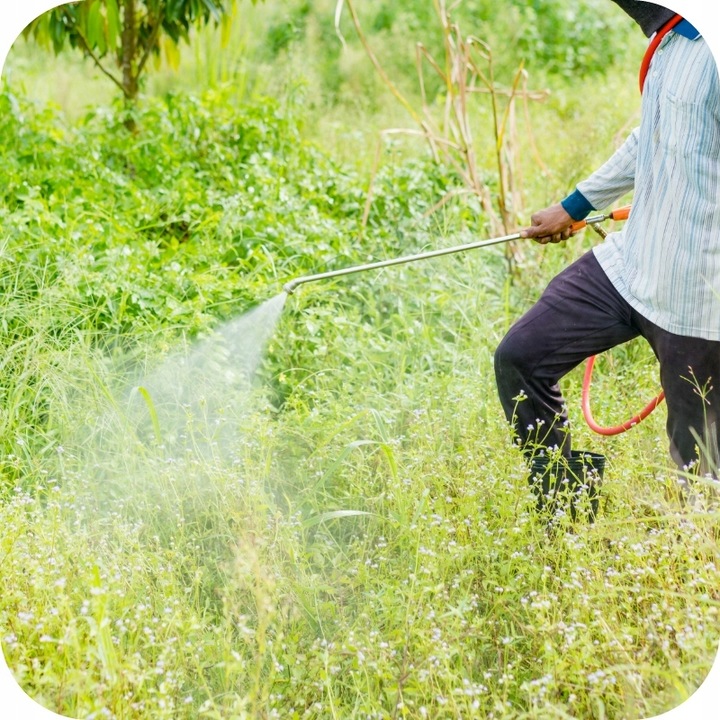 Monsanto Roundup Plus 360 SL 5l Chwasty Randap