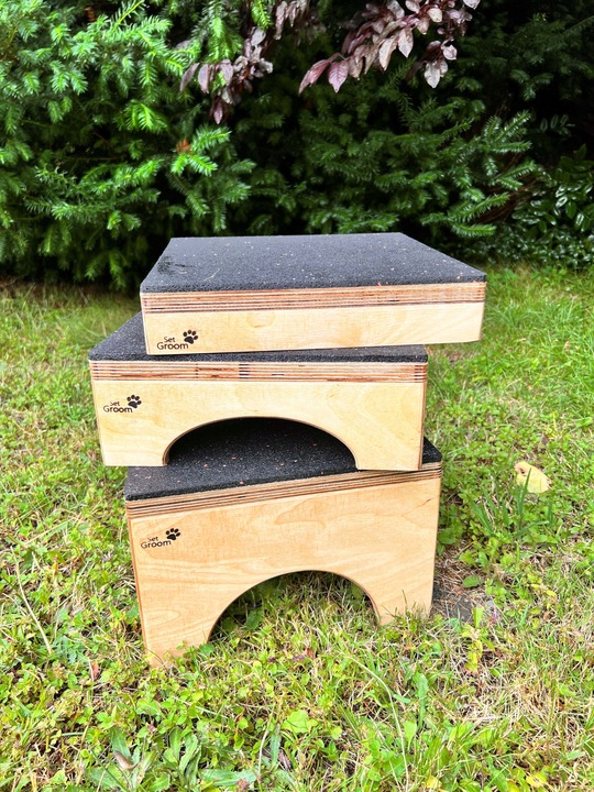 PODEST DLA PSA DO SOCJALIZACJI OBEDIENCE DOG 30x6