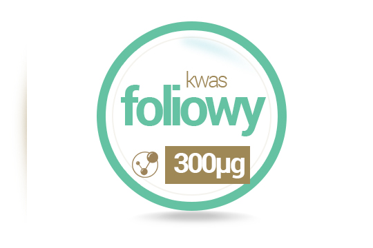 MODULATOR HOMOCYSTEINY B12 B6 B7 B9 Kwas Foliowy