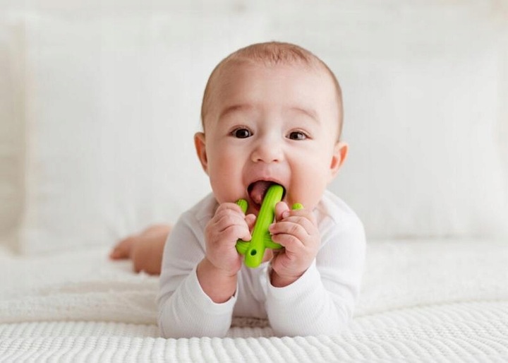 GiliGums DUMEL GRYZAK SZCZOTECZKA DO ZĘBÓW KAKTUS