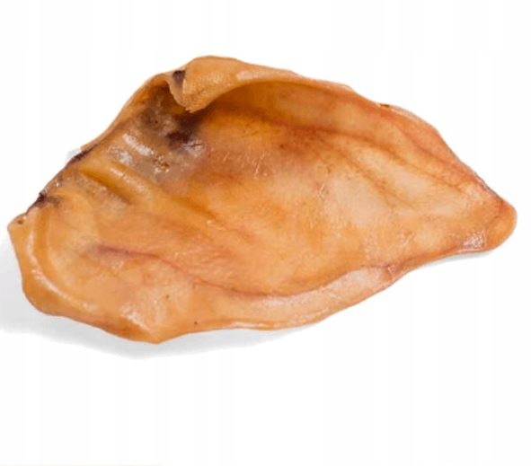 Przysmak, naturalny gryzak dla psa Ucho Wieprzowe Petmex 10 szt.