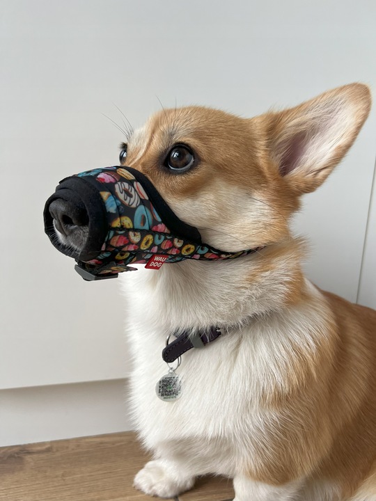 Kaganiec dla psa WAUDOG Nylon, wzór Pączki, rozmiar S, 14-20 cm