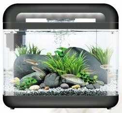 INVITAL EasyTank CASCADE LED 17 litrów czarna