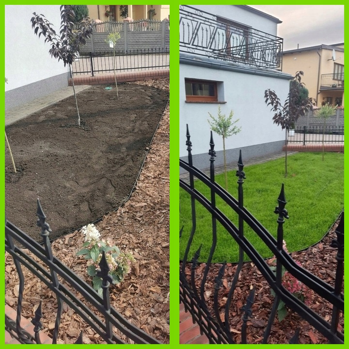 Trawa UNIWERSALNA nasiona trawy SAMOZAGĘSZCZAJĄCA odporna na DEPTANIE 25kg