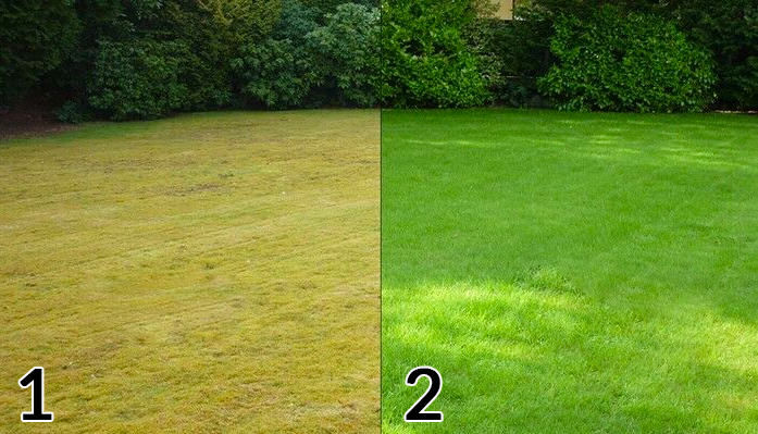 AERATOR ELEKTRYCZNY AREATOR WERTYKULATOR AERACJA 3W1 Z KOSZEM 40l NAC