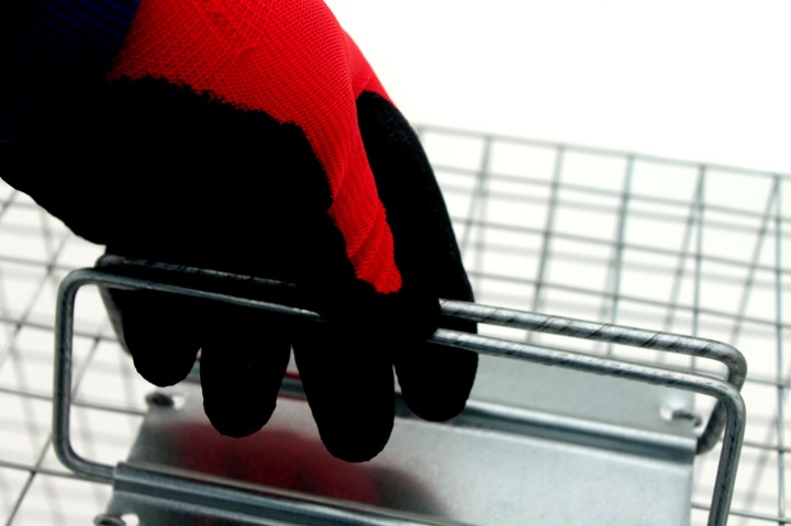 żywołapka pułapka lisy kuny wydry bobry koty skuteczna