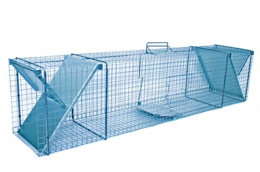 żywołapka pułapka na kuny, koty, lisy super szybka