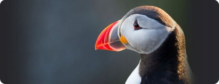 Tusz HP 303 czarny (black) T6N02AE