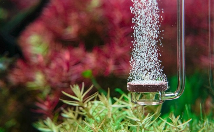 Dyfuzor CO2 Neo Original S