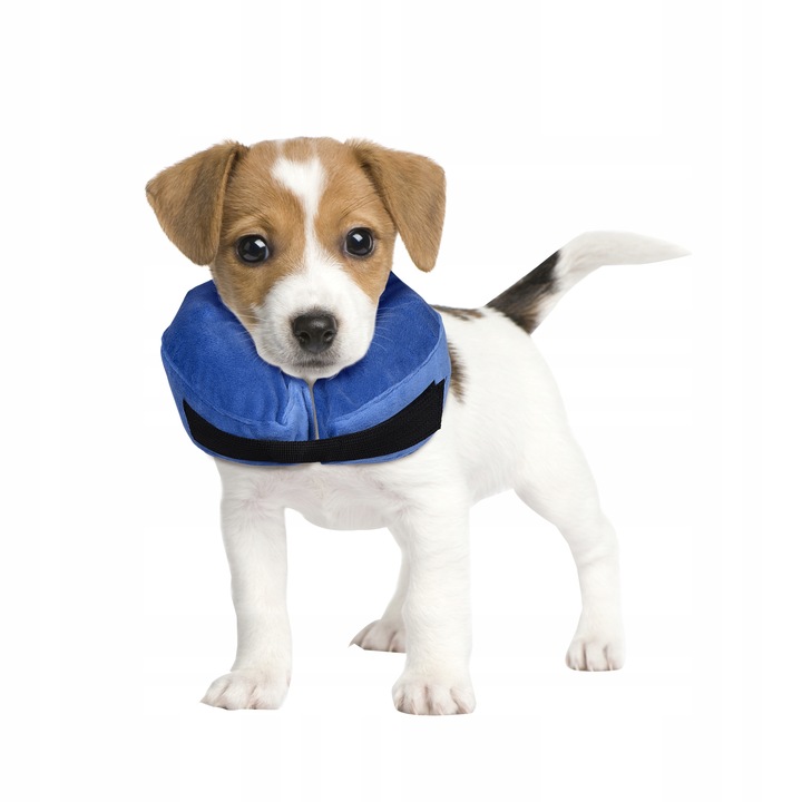 Kołnierz pooperacyjny ochronny dla psa DMUCHANY S