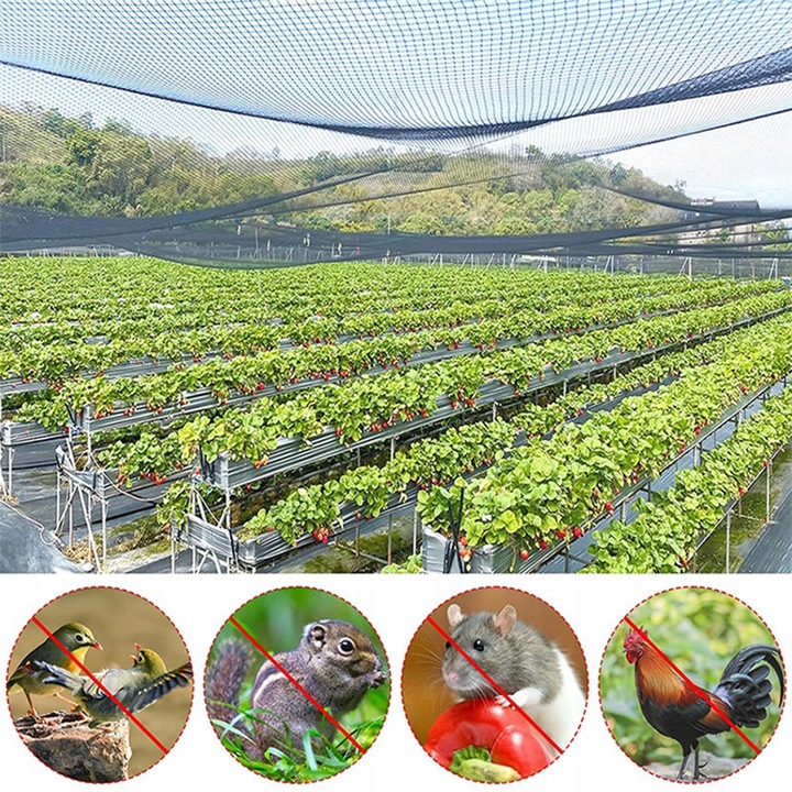 OCHRONNA SIATKA NA PTAKI GOŁĘBIE 10X10M MOCNA PRZECIW PTAKOM SZPAKOM