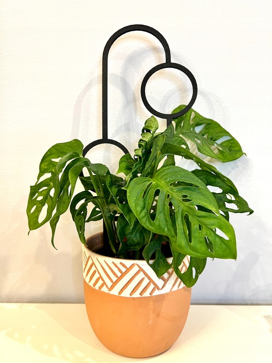 Podpora do Roślin Pnączy Podpórka Kwiatów Pnących Pergola Drabinka 38