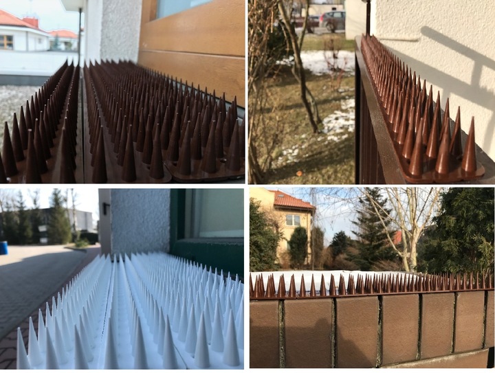 WYSOKIE KOLCE NA PTAKI GOŁĘBIE KUN KOLORÓW 10 SZT 5 METRÓW KOLOR