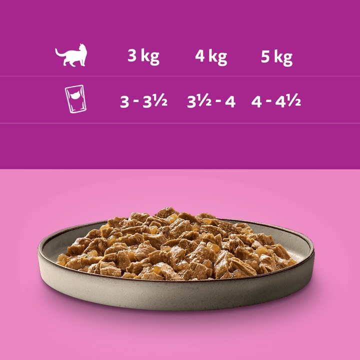 WHISKAS mokra karma dla kota kurczak indyk drób kaczka w galaretce 40x85g