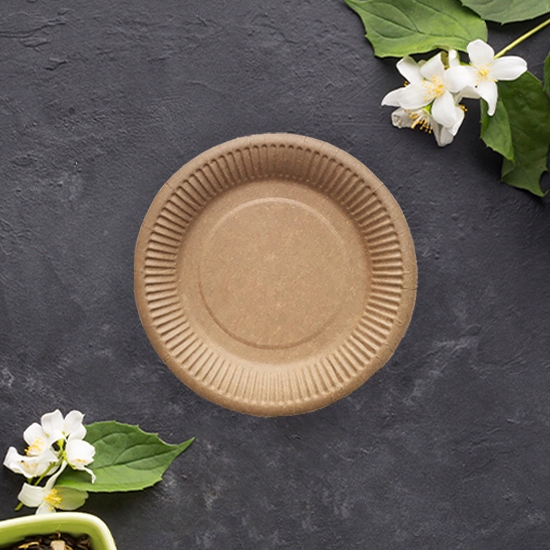 EKOLOGICZNY ZESTAW NACZYŃ JEDNORAZOWYCH DO GRILLA DLA 50 OSÓB – KRAFT