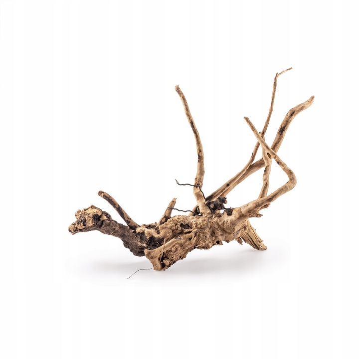 KORZEŃ DO AKWARIUM Red Moor Wood M 30cm OKAZY PREMIUM