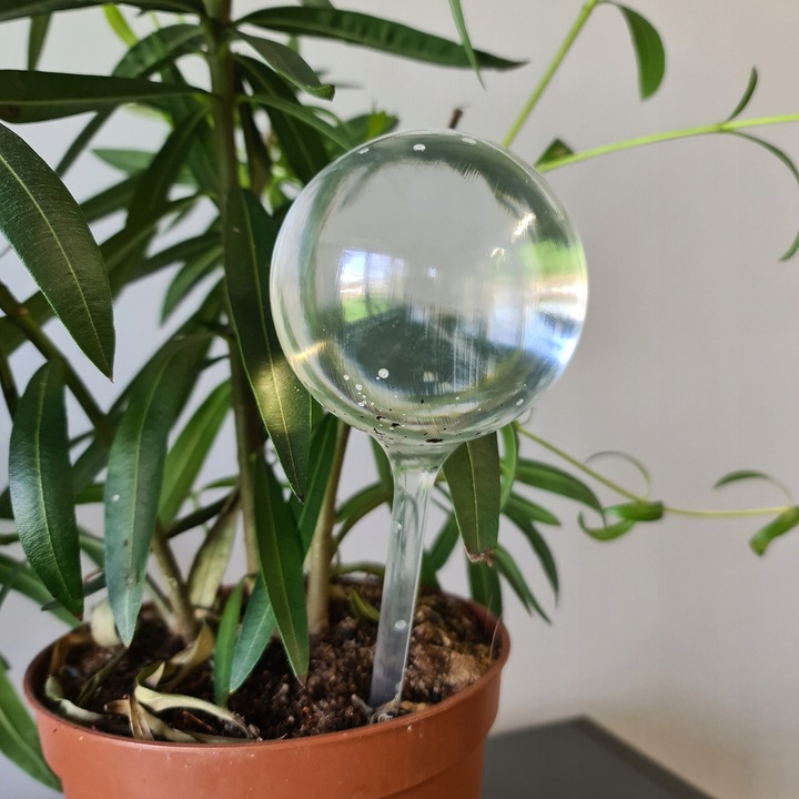 KULE NAWADNIAJĄCE DO KWIATÓW ROŚLIN DONICZEK DOZOWNIK WODY ZESTAW 8szt