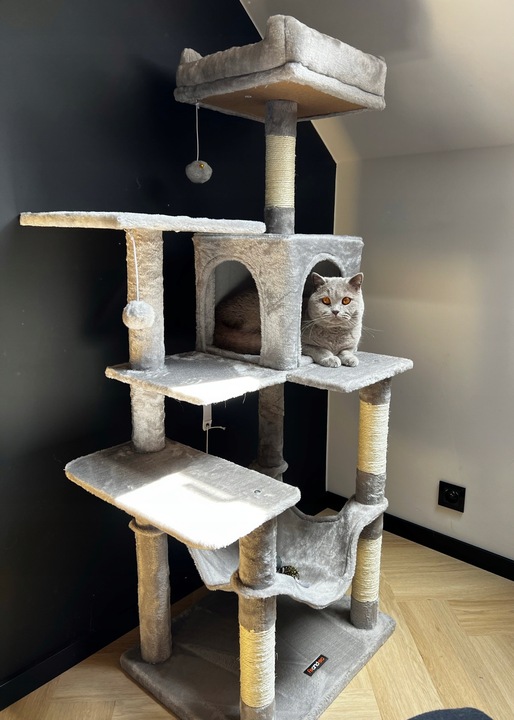 DRAPAK DLA KOTA DUŻY XL 6 POZIOMÓW WYSOKI LEGOWISKO SŁUPEK DOMEK 143cm