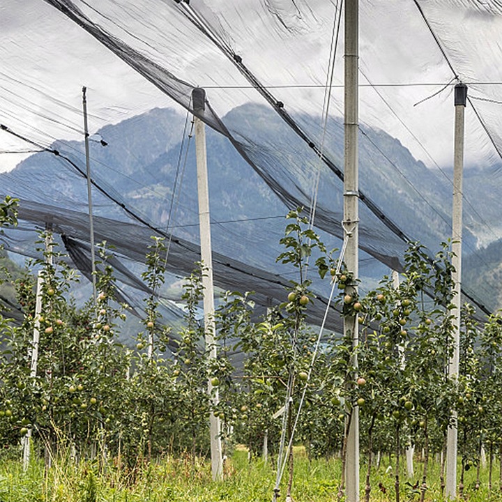 OCHRONNA SIATKA NA PTAKI GOŁĘBIE 10X10M MOCNA PRZECIW PTAKOM SZPAKOM