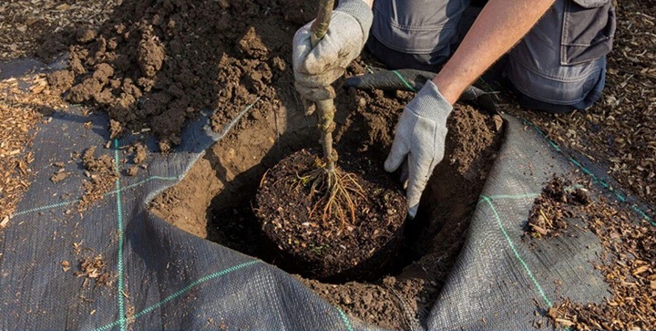 NAJMOCNIEJSZA AGROTKANINA ANTYCHWASTOWA 90g 1,1x50m UV3% AGROWŁÓKNINA