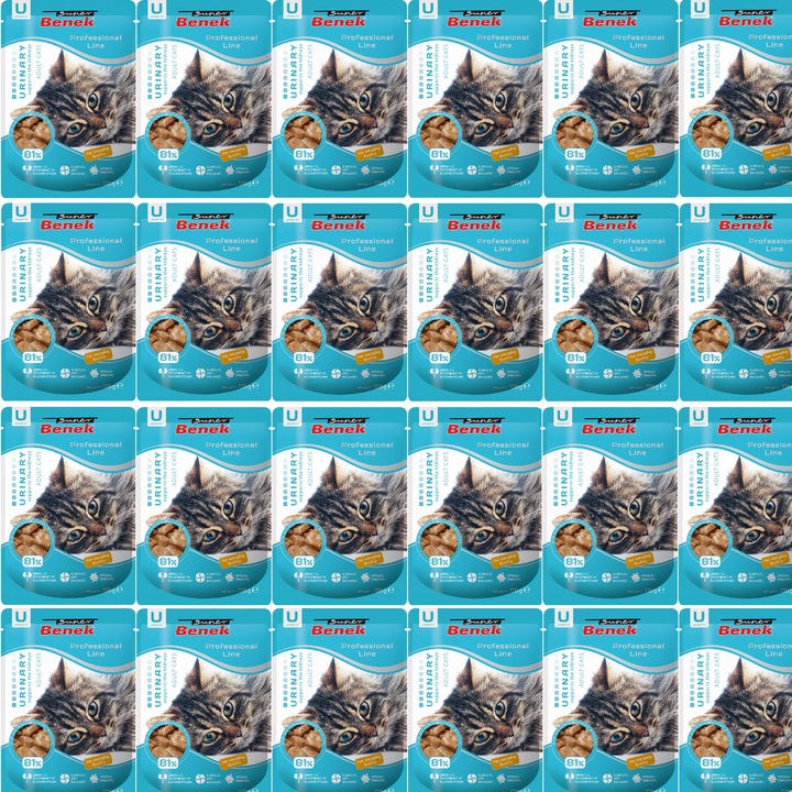 Saszetki dla kota Super Benek Urinary 24x100g