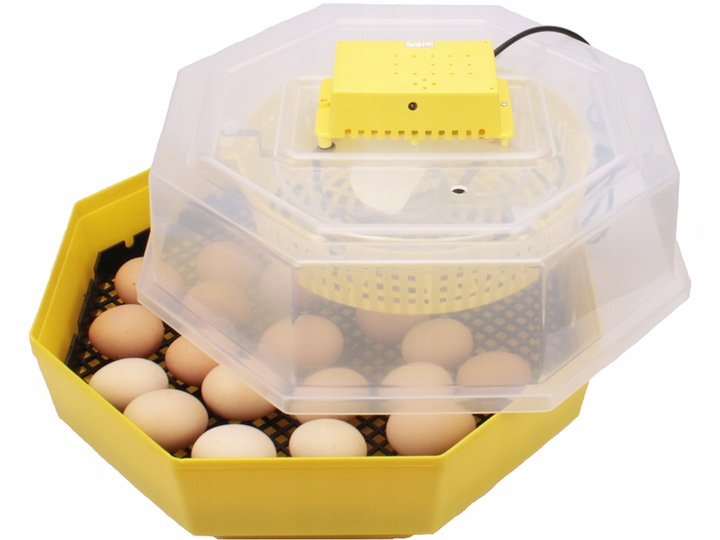 INKUBATOR 60 JAJ WYLĘGARKA KLUJNIK Cleo 5