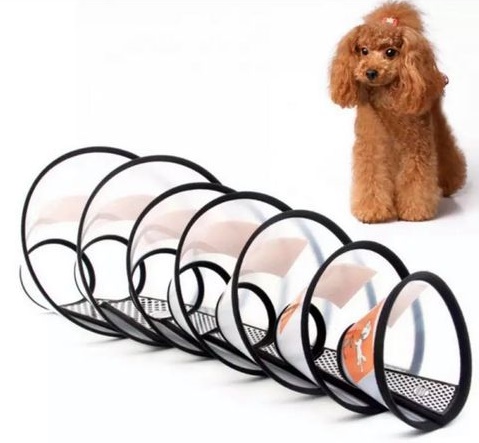 Kołnierz pooperacyjny dla psa obwód 21-24cm wys.13