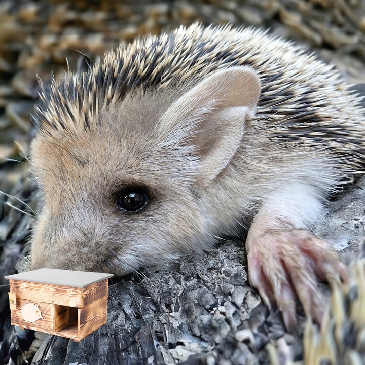 Domek dla Jeża Jeży DREWNIANY budka dom legowisko producent XXL