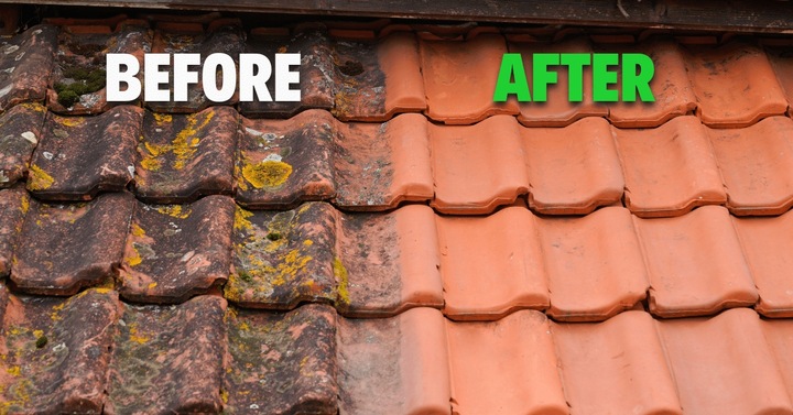 Płyn do mycia czyszczenia dachów i elewacji fasad 5L