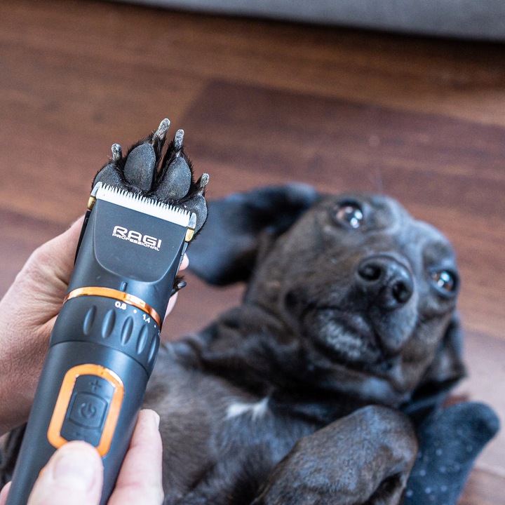 MASZYNKA DO STRZYŻENIA PSÓW PSA KOTA RAGI PROFESJONALNA CICHA BEZPRZEWODOWA