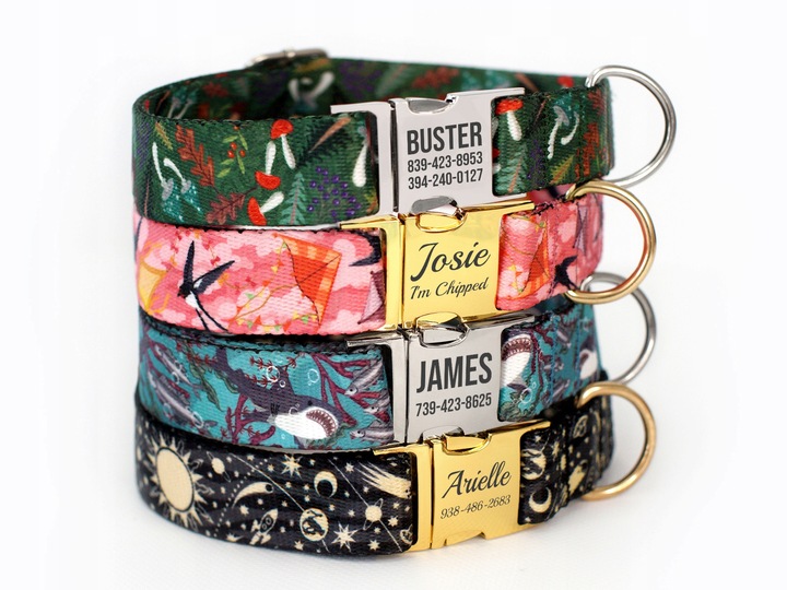 Obroża dla psa z klamrą Space rozmiar M