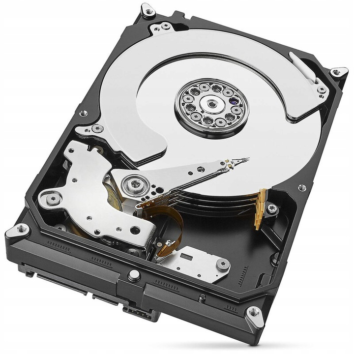 Dysk twardy Seagate SkyHawk Al 10TB SATA III 3,5"