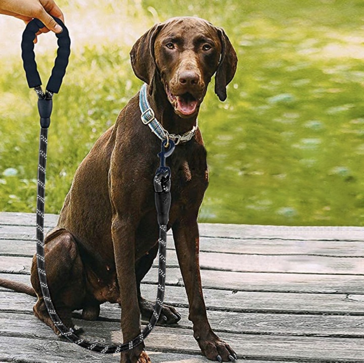 Smycz dla Dużego Psa Mocna Treningowa Linka Gruba Długa 5m + Worki na Kupy